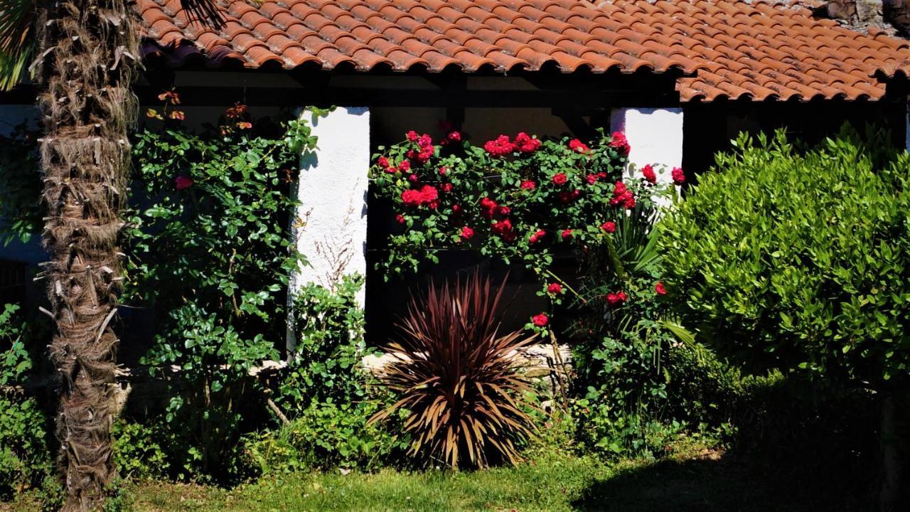 Apartments Garden Мотовун Екстер'єр фото